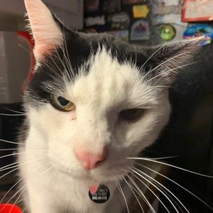 Meet your Posher, Connor